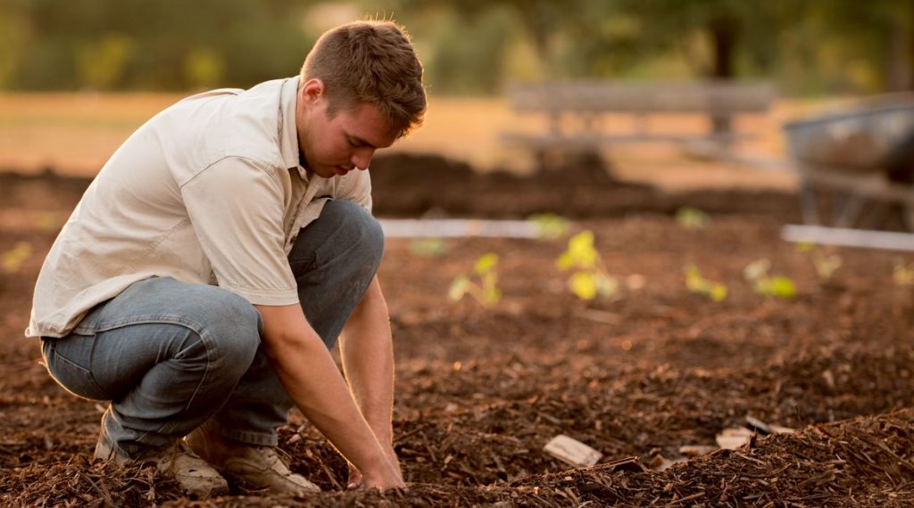 agriculture-business