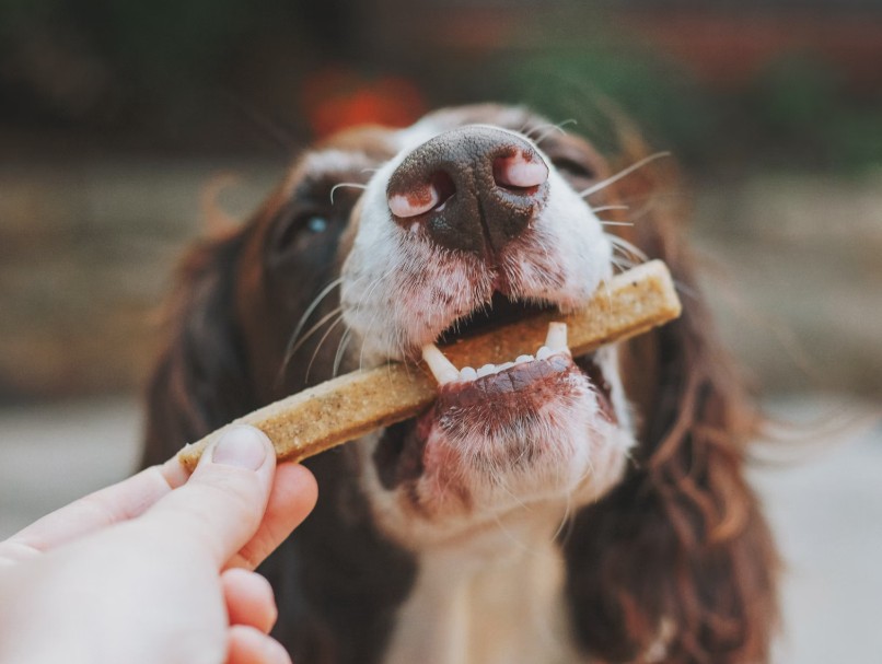 dog-treats